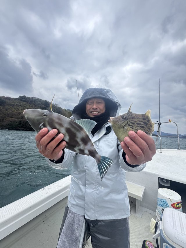 カワハギ・ウマヅラハギ