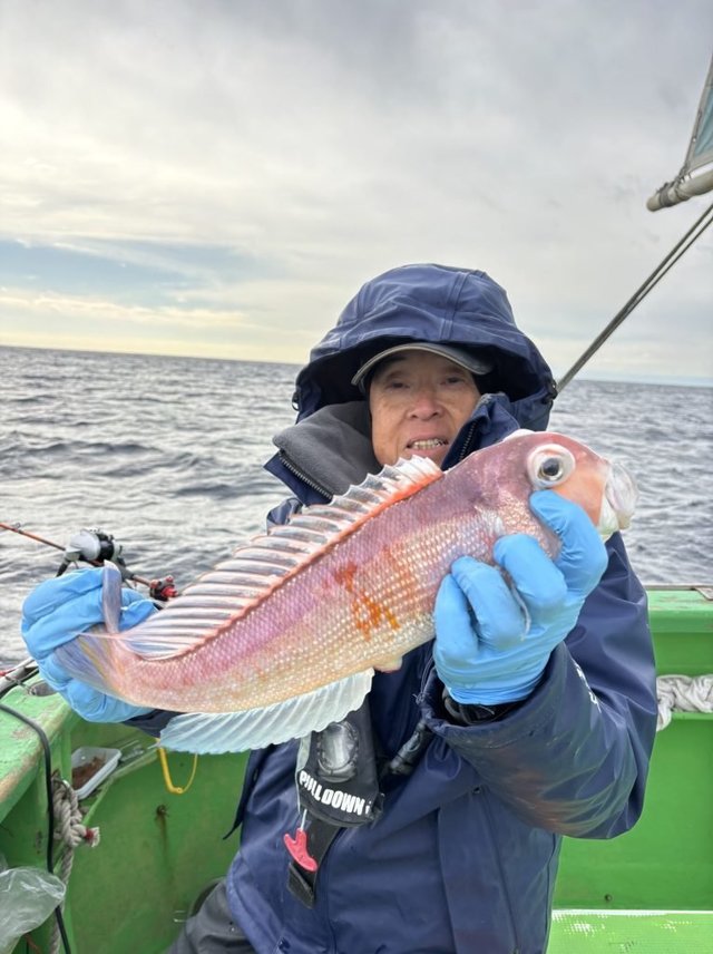 アマダイ(アカアマダイ)