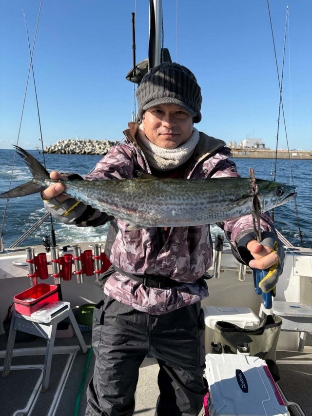 サゴシ(サワラ)