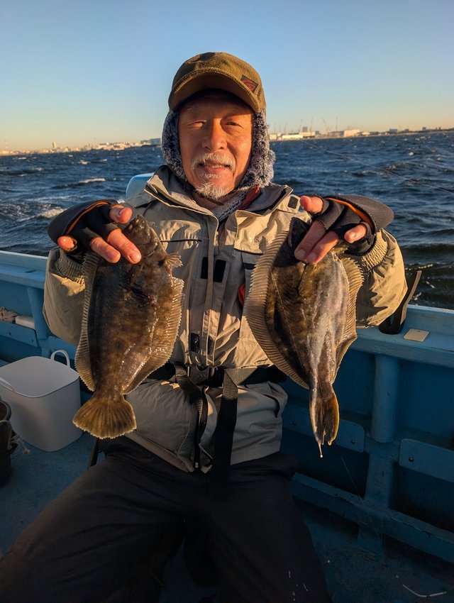 カレイ(マコガレイ)