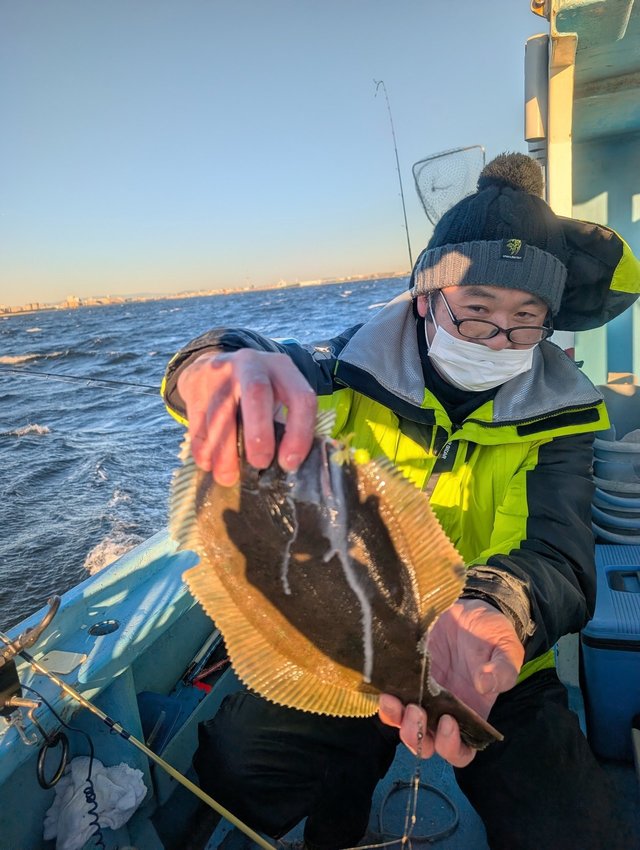 カレイ(マコガレイ)