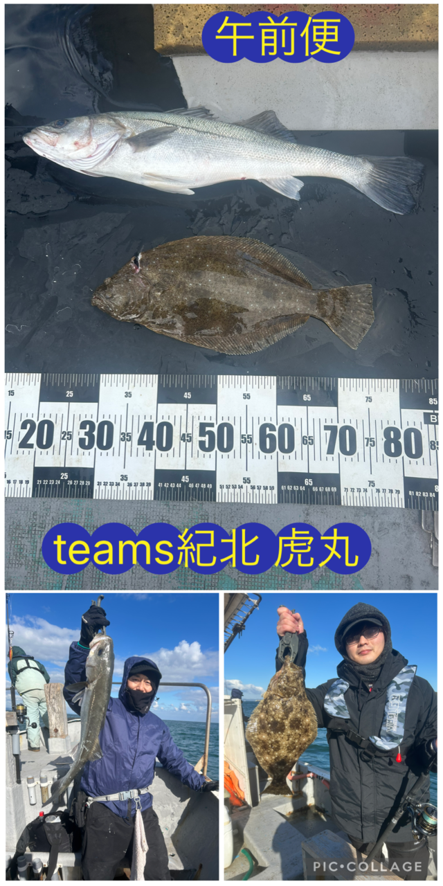 スズキ・ヒラメ