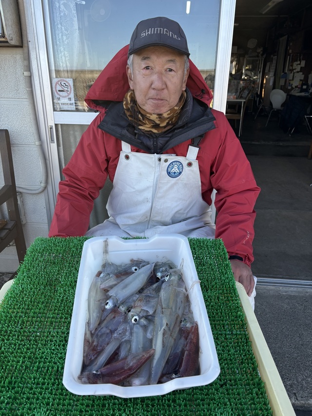 マルイカ(ケンサキイカ)