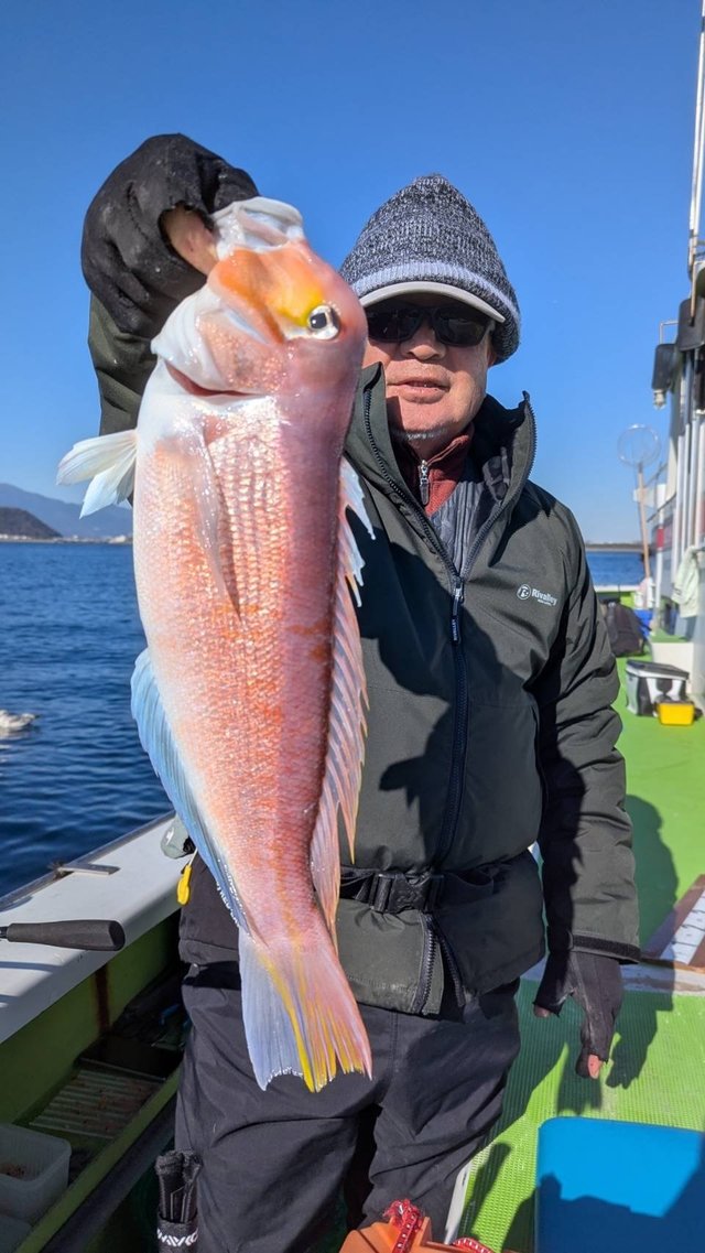 アマダイ(アカアマダイ)