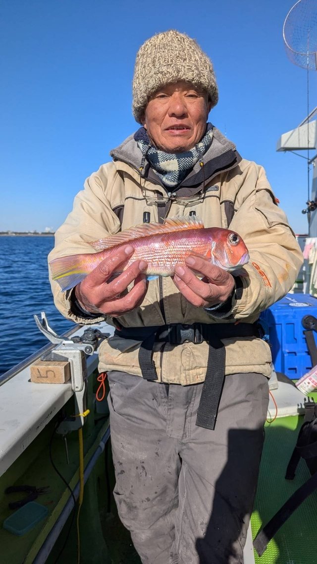 アマダイ(アカアマダイ)