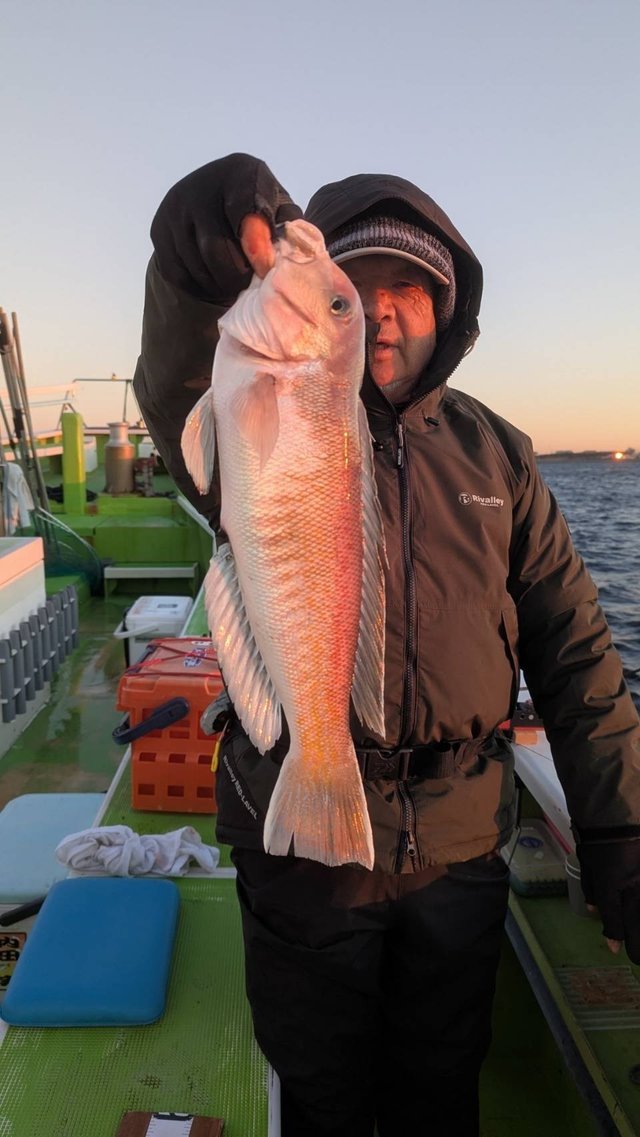 アマダイ(アカアマダイ)