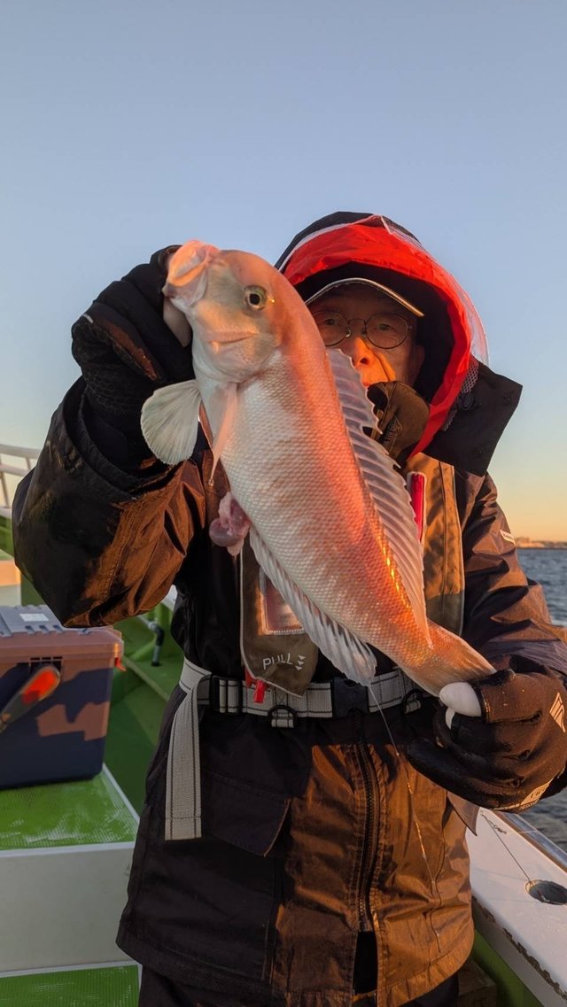 アマダイ(アカアマダイ)