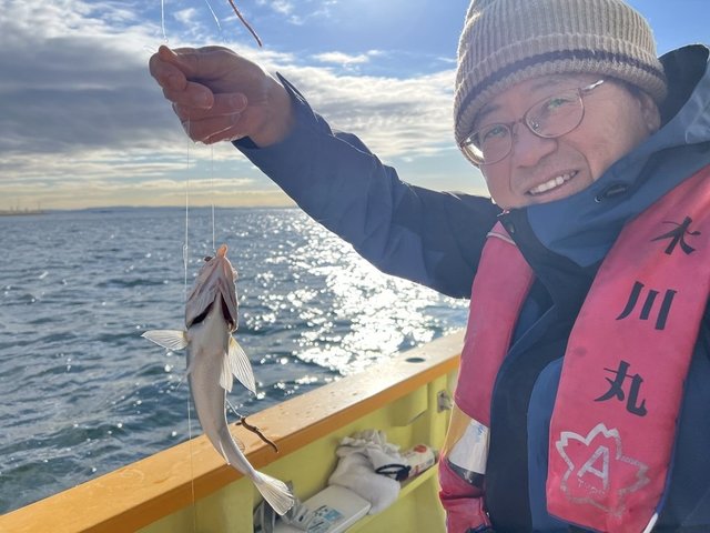 イシモチ(シログチ)