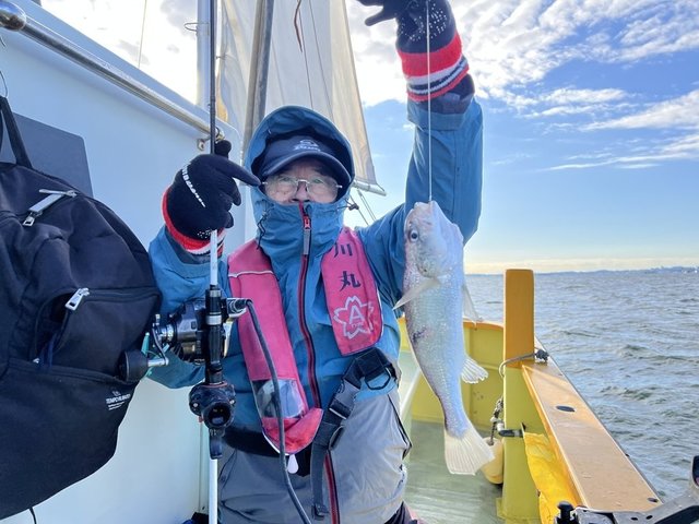 イシモチ(シログチ)