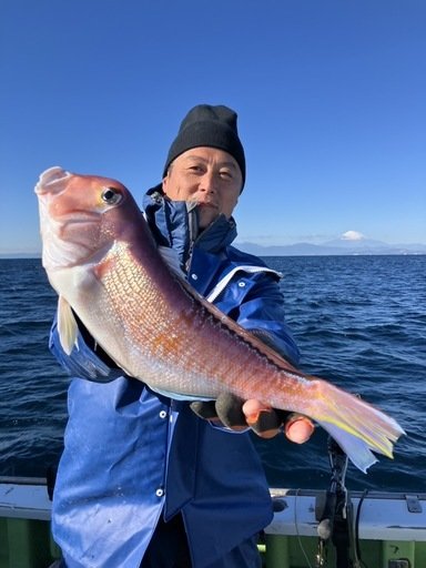 アマダイ(アカアマダイ)