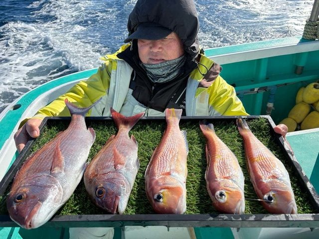 マダイ・アマダイ(アカアマダイ)