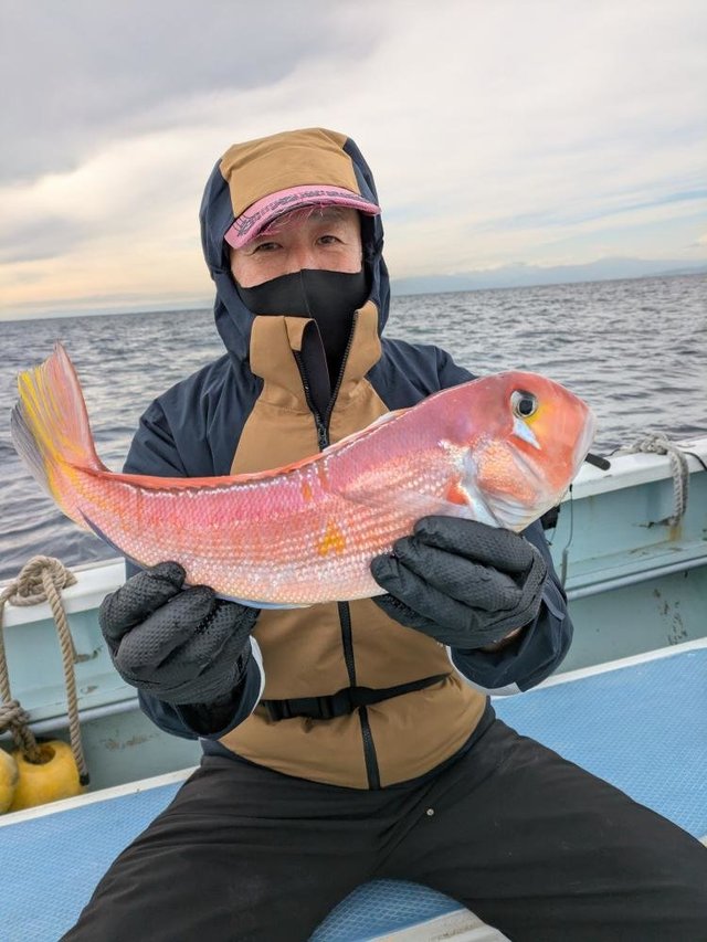 アマダイ(アカアマダイ)