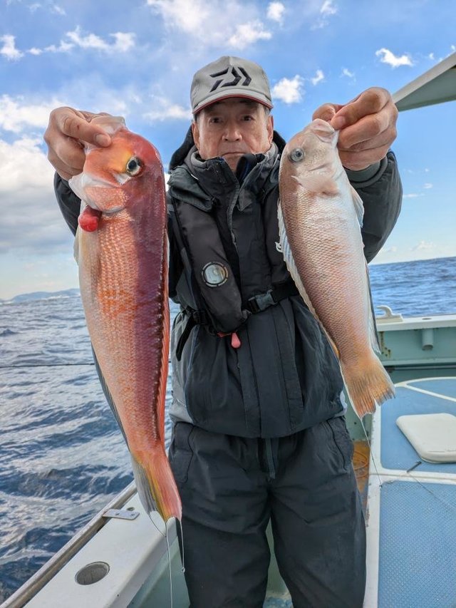 アマダイ(アカアマダイ)・シロアマダイ