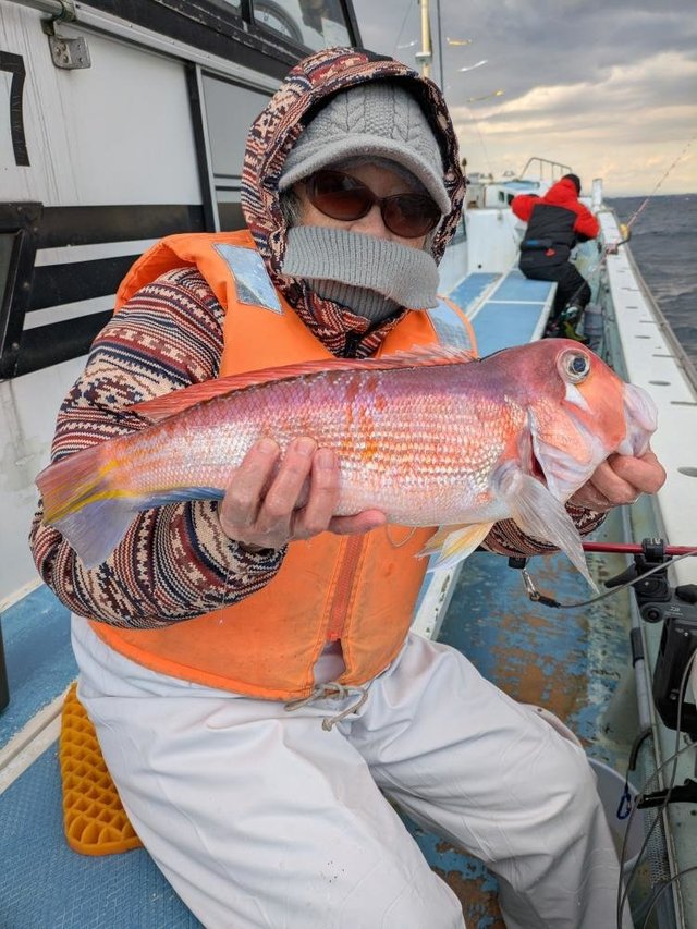 アマダイ(アカアマダイ)