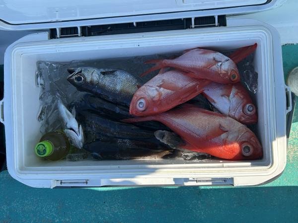 クロムツ・キンメ(キンメダイ)