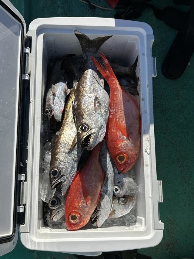 クロムツ・キンメ(キンメダイ)