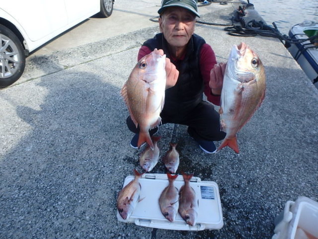 ハナダイ(チダイ)