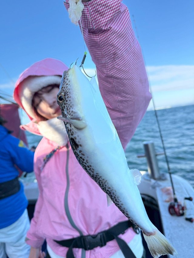 ショウサイフグ