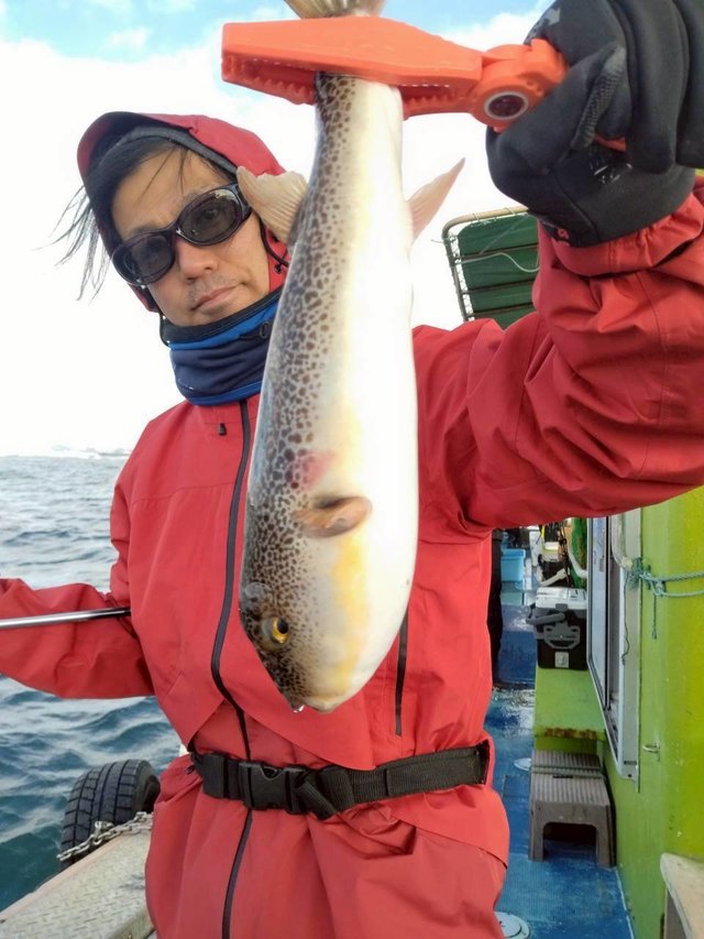 ショウサイフグ