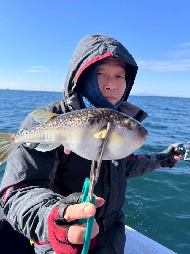 ショウサイフグ