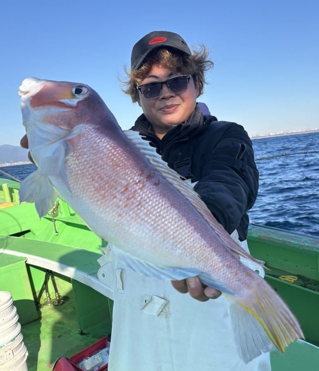 アマダイ(アカアマダイ)