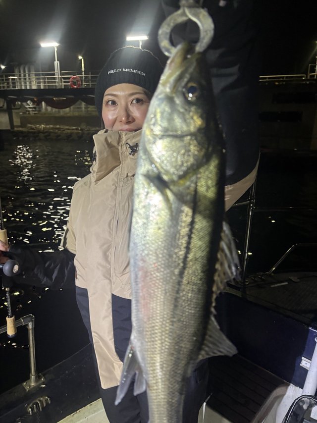 シーバス(スズキ)