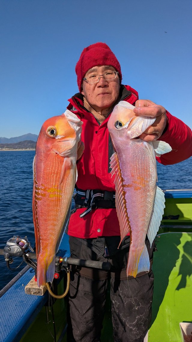 アマダイ(アカアマダイ)