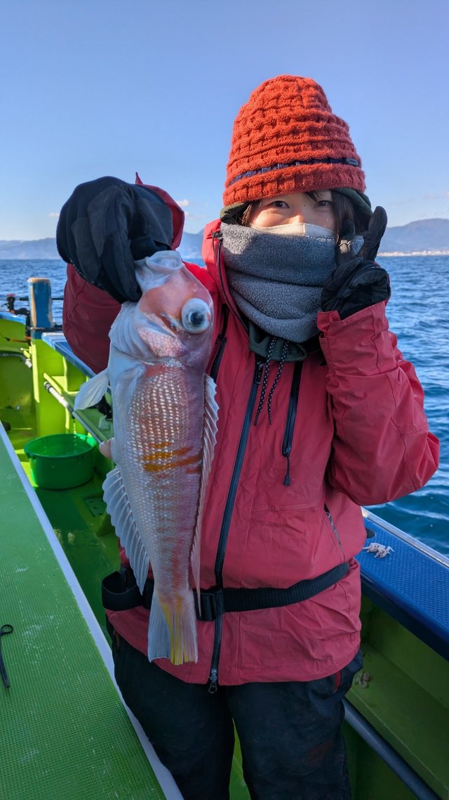 アマダイ(アカアマダイ)