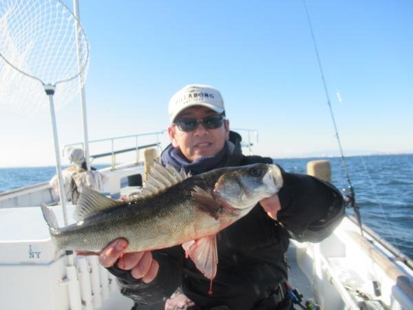 シーバス(スズキ)