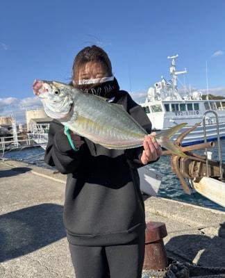 シマアジ