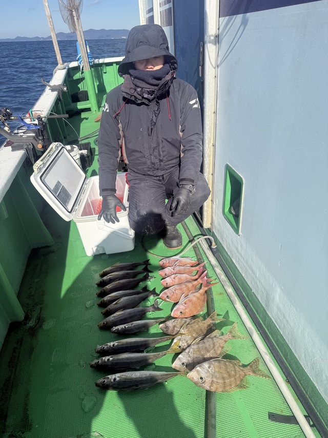 マダイ・マアジ・メイチダイ・イサギ(イサキ)