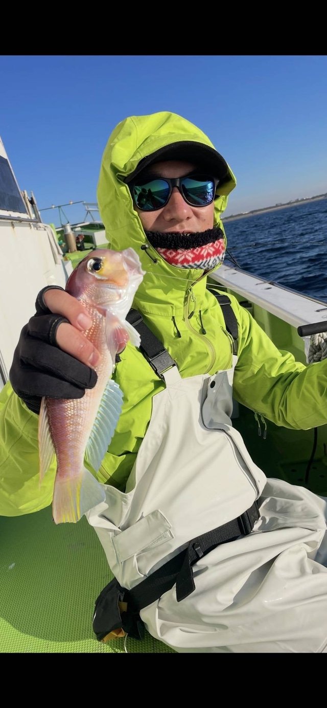 アマダイ(アカアマダイ)