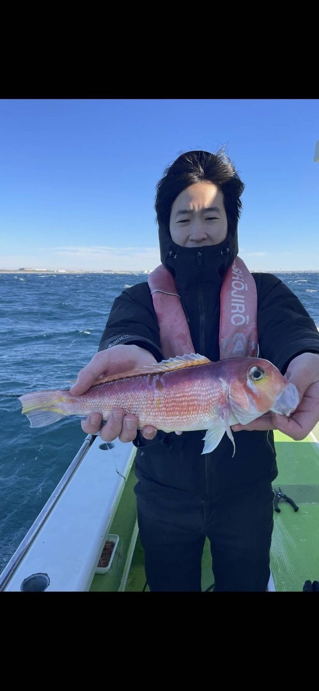 アマダイ(アカアマダイ)