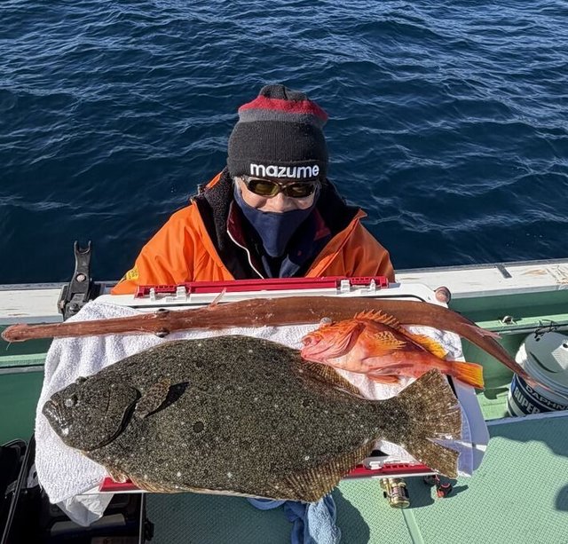 アヤメカサゴ・ヒラメ・アカヤガラ