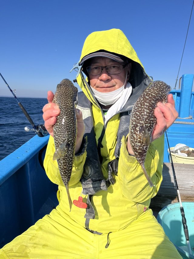 フグ(ショウサイフグ)