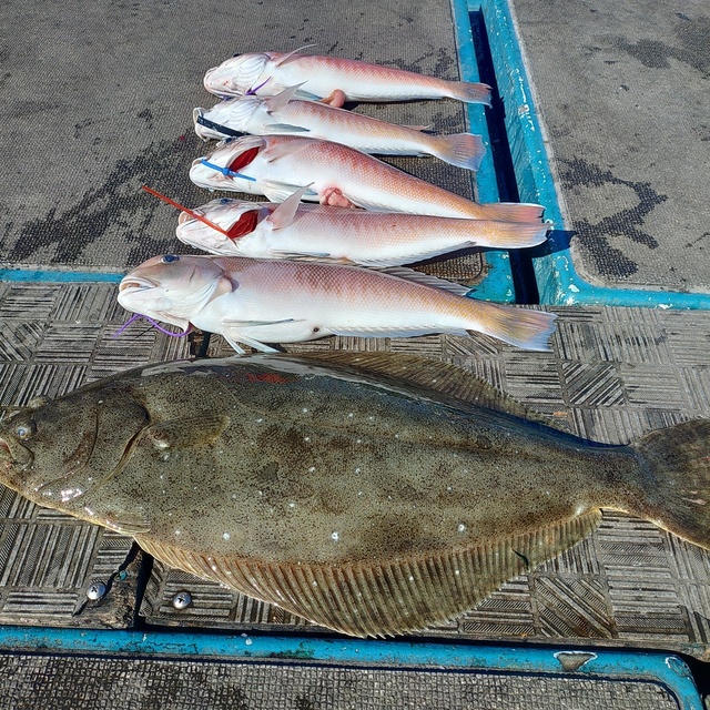 シロアマダイ・ヒラメ