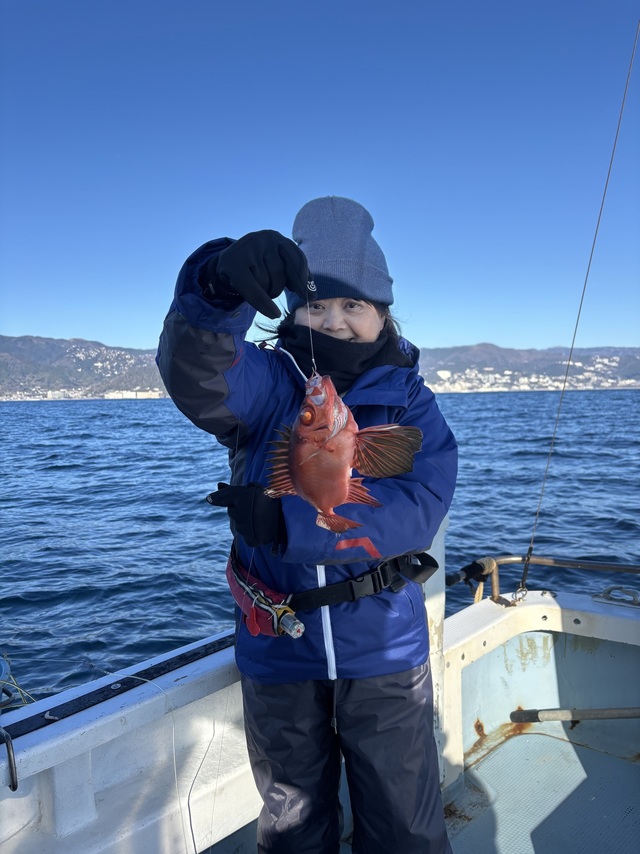 キントキ(チカメキントキ)