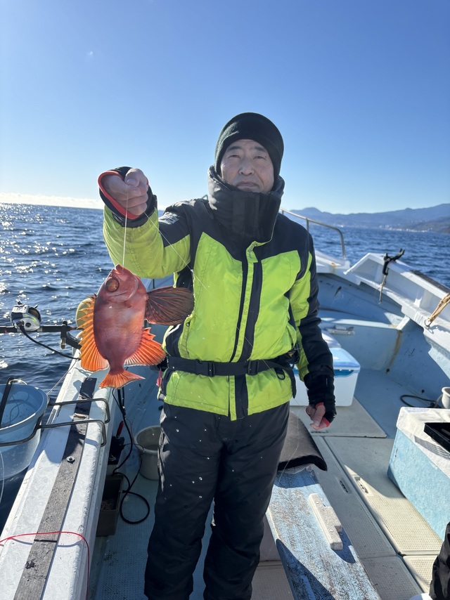 キントキ(チカメキントキ)