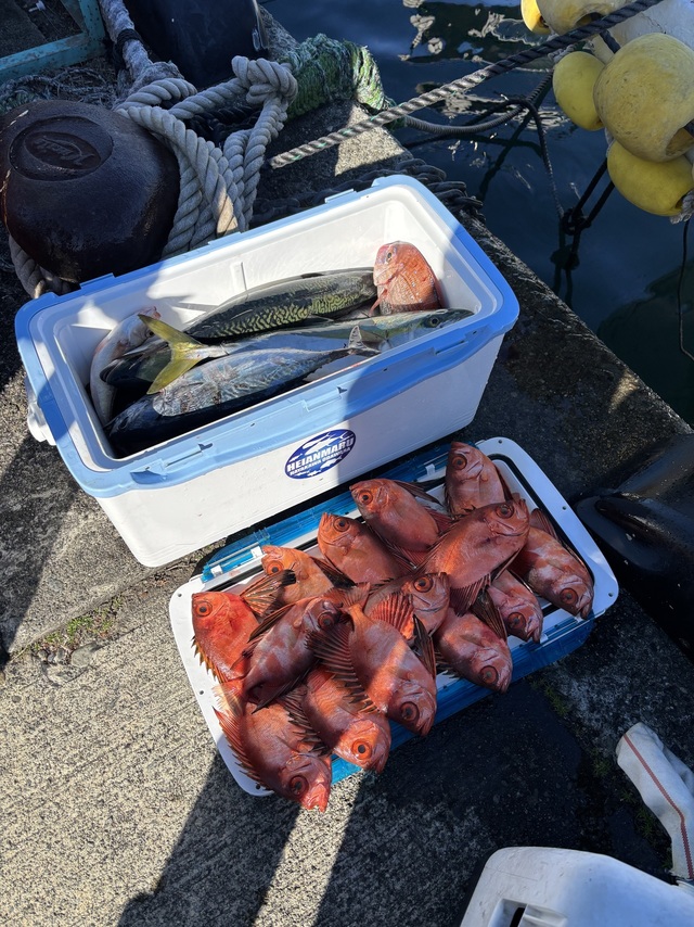 イナダ(ブリ)・キントキ(チカメキントキ)