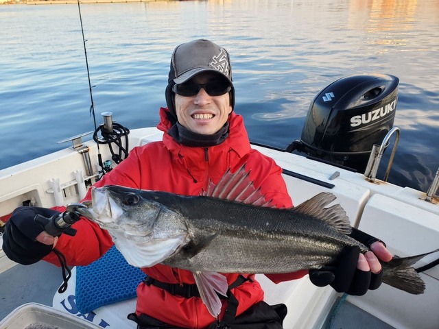 シーバス(スズキ)