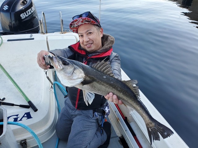 シーバス(スズキ)