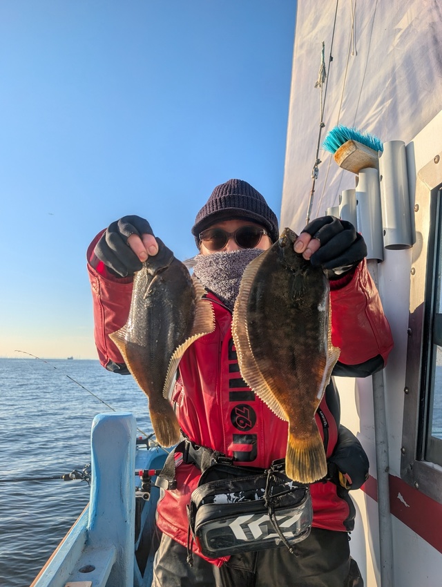 カレイ(マコガレイ)