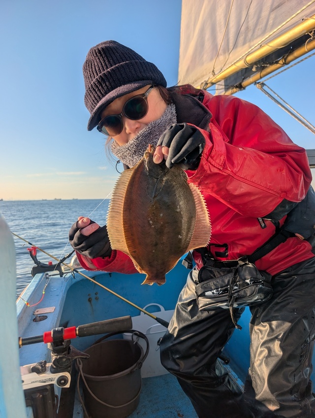 カレイ(マコガレイ)