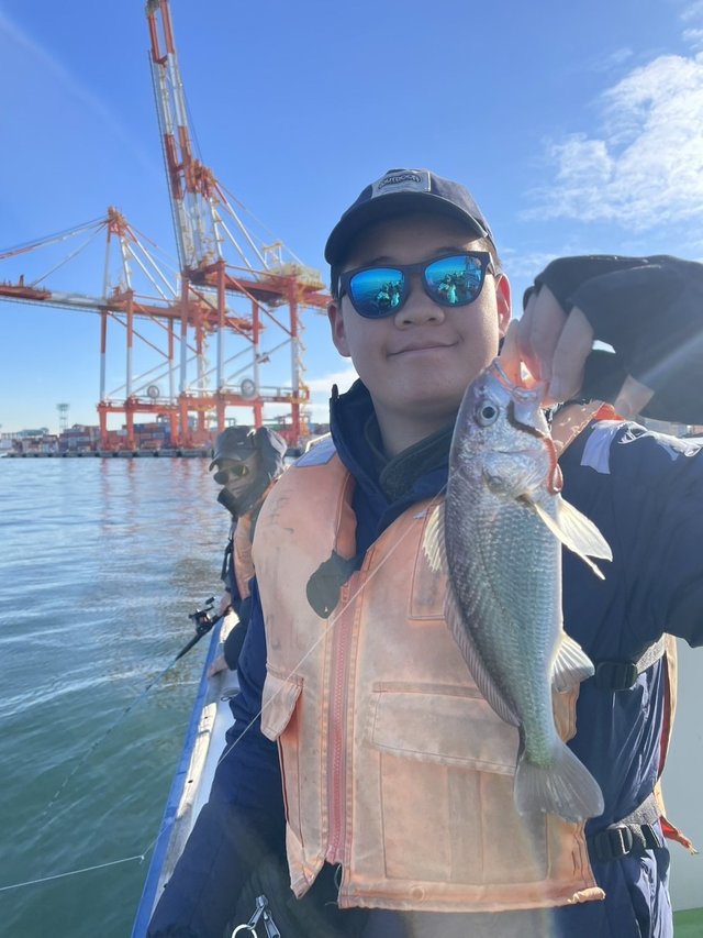 イシモチ(シログチ)