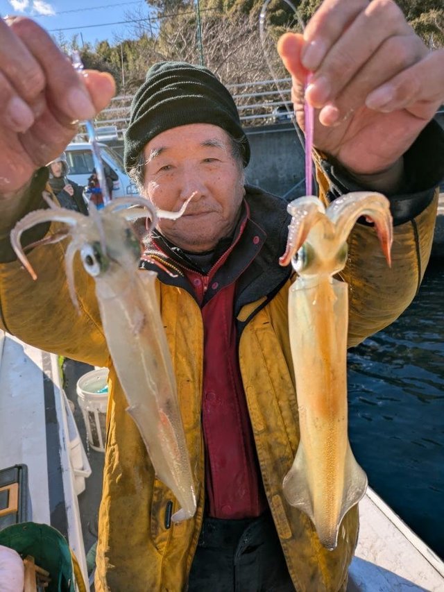 マルイカ(ケンサキイカ)・スルメイカ