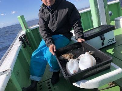 スミイカ(コウイカ)・モンゴウイカ(カミナリイカ)