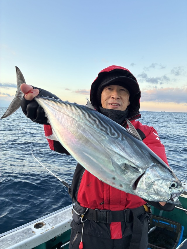 ヤイトガツオ(スマ)