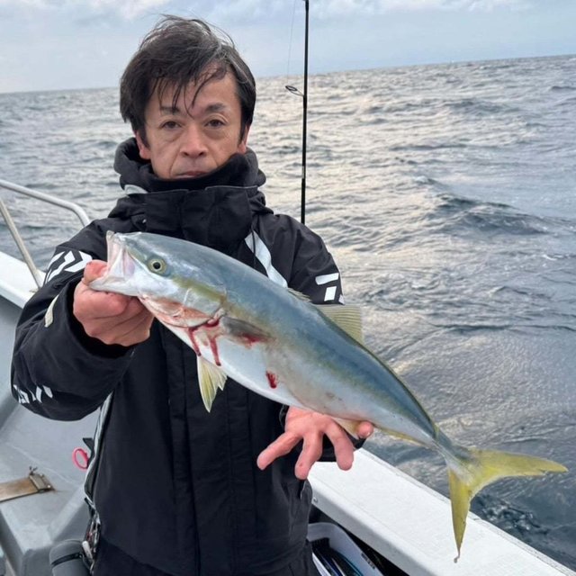 フクラギ(ブリ)