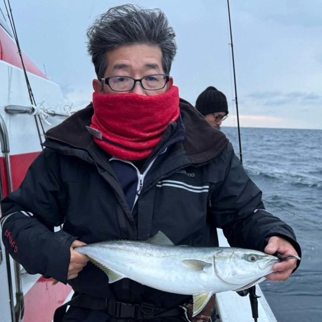 フクラギ(ブリ)