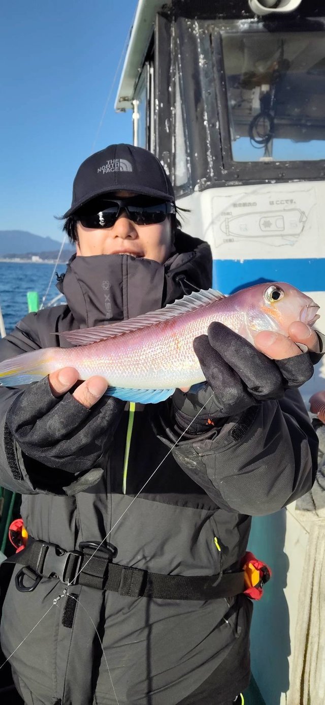 アマダイ(アカアマダイ)